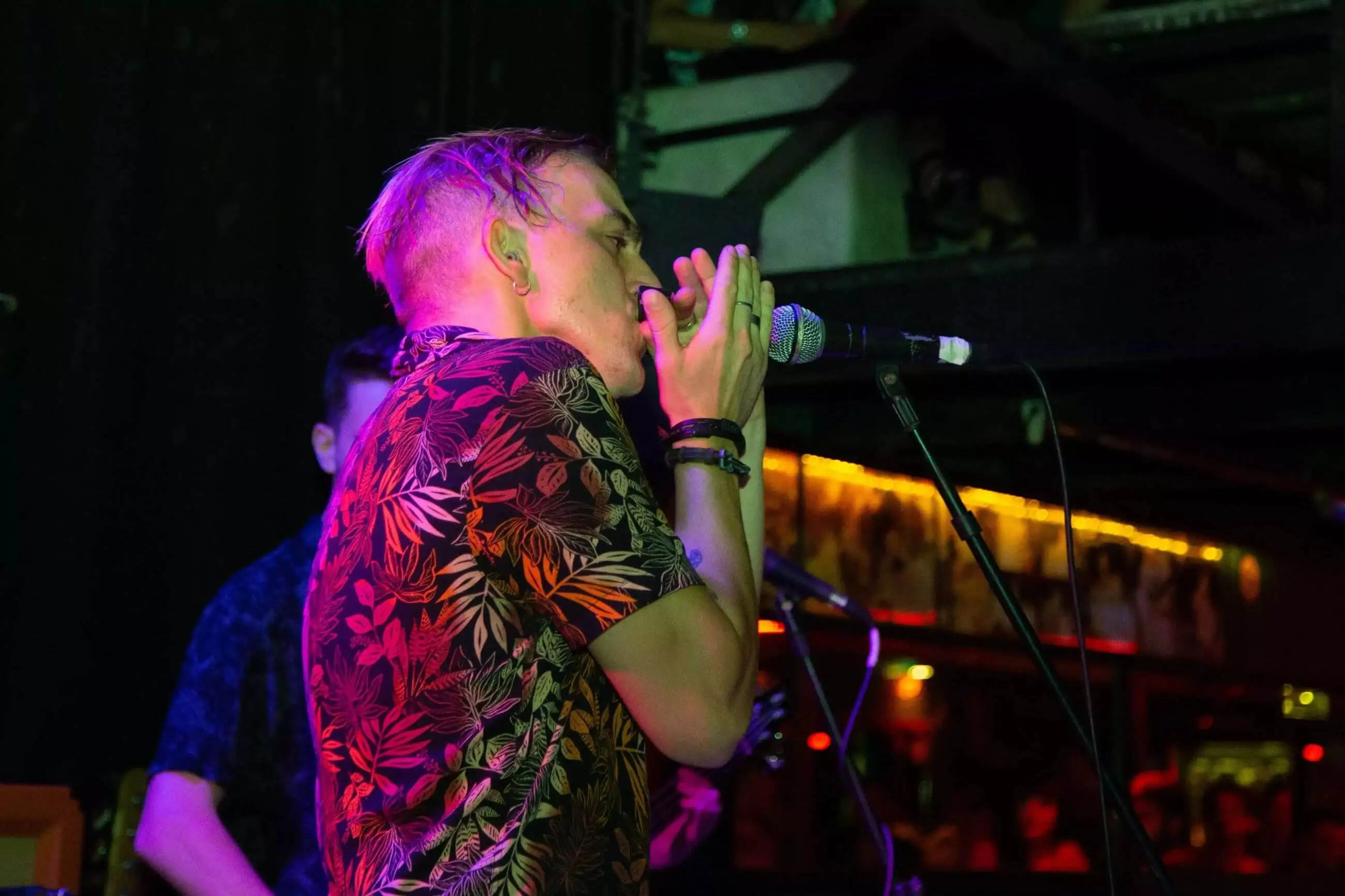 terra armonica perfil